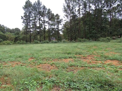 lot 4 view 5