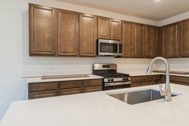 10971 Texas Ct, Crown Point, IN 46307 - photo 6