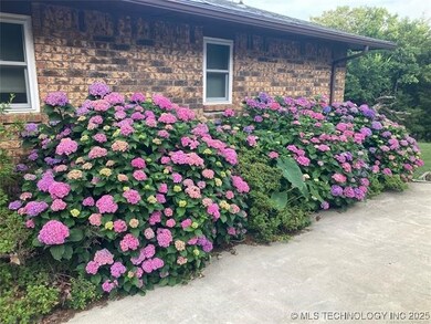 Azeleas in full bloom