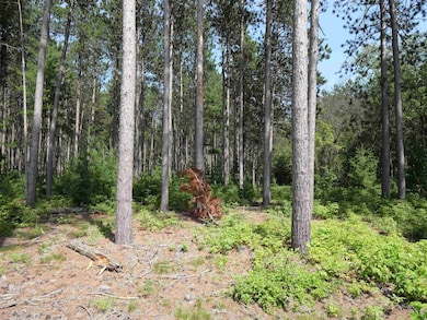 Lot 6 Two Sisters Ct, Stevens Point, WI 54482 - photo 6