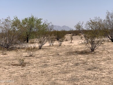 0 W Storey 22d Rd, Casa Grande, AZ 85194 - photo 6