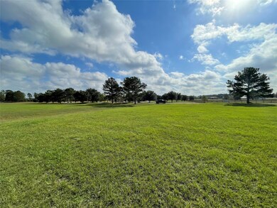 Lot 3 Meadow Lake, Magnolia, TX 77355 - photo 5