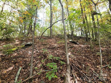 99999 N Pointe Dr unit 3, Zirconia, NC 28790 - photo 3