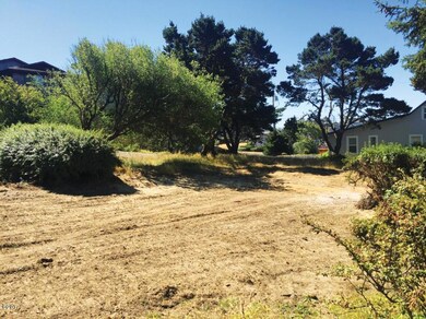 Looking Toward South End of Lot