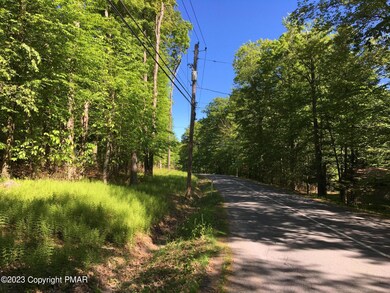 615 Locust Ln, Pocono Lake, PA 18347 - photo 5