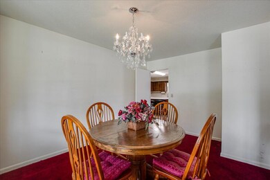 06-1709 Wildwood Trail-6