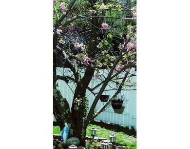 9 Earle St, Worcester, MA 01605 - photo 5