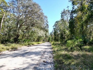 Vac Se Suwannee Ave, Branford, FL 32066 - photo 4