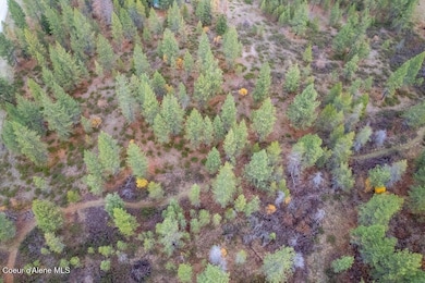 Targhee 5 Acres