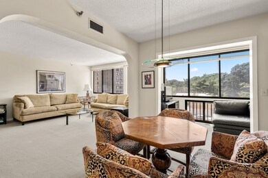 250 Hammond Pond Pkwy unit 411N, Chestnut Hill, MA 02467 - photo 4