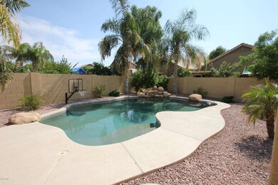 Backyard Oasis