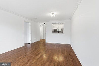 Observatory of Georgetown unit 514, Washington, DC 20007 - photo 5