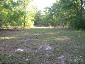 20728 Dickerson Rd, Fountain, FL 32438 - photo 6