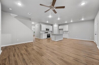 813 Feather Edge Dr, Springtown, TX 76082 - photo 3