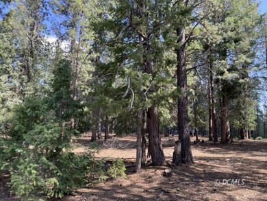 Beautiful trees