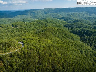 1318 Roundleaf Ln, Ferguson, NC 28624 - photo 7