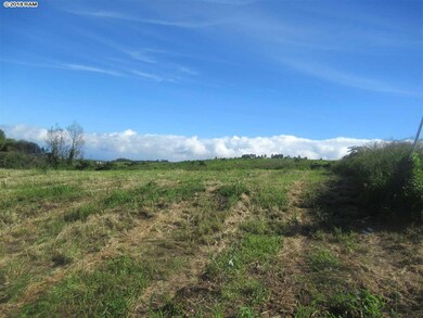 0 Lower Kimo Dr unit 26-A 380082, Kula, HI 96790 - photo 6