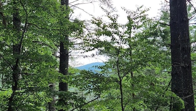 38 AC Tumbling Creek Rd, Postelle, TN 37317 - photo 3