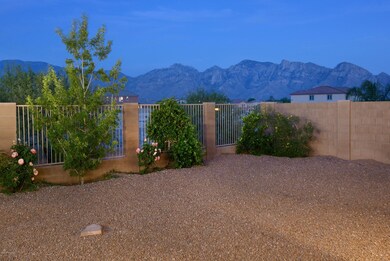 Backyard 2