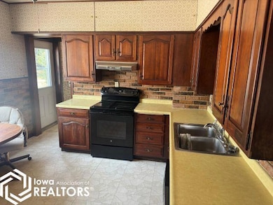 16386 160th St, Randalia, IA 52164 - photo 3