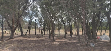 2709 S Main St, Weatherford, TX 76087 - photo 2