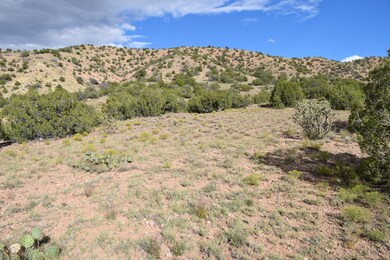 29 La Entrada, Placitas, NM 87043 - photo 5