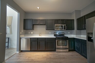 706 Timothy Ct unit 223, East Dundee, IL 60118 - photo 5