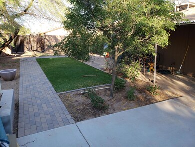 LUSH BACKYARD