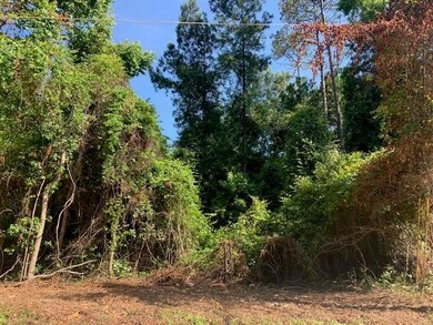 xxx 29 Winnebago St unit 3, Crawfordville, FL 32327 - photo 2