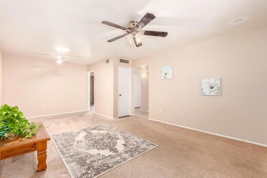 11127 W Emerald Dr, Sun City, AZ 85351 - photo 6