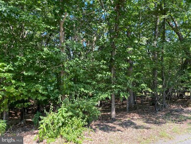 0 Timber Ridge Rd unit WVMO117112, Berkeley Springs, WV 25411 - photo 2