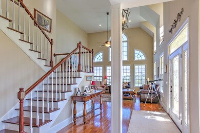 Specialty Ceilings