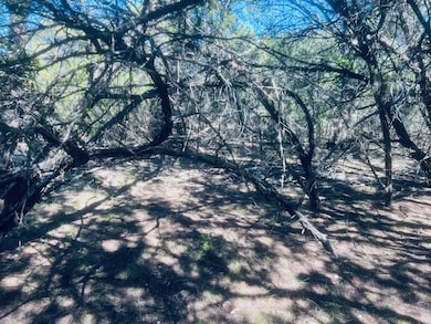 Lot 16-17 Oklahoma Ave, Lakehills, TX 78063 - photo 6