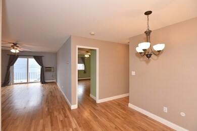 48 Coffey St unit 3B, Dorchester, MA 02122 - photo 7