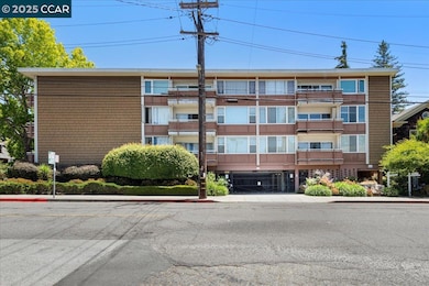2601 College Ave unit 301, Berkeley, CA 94704 - photo 5
