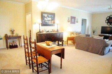 7007 Summit Ln, Fredericksburg, VA 22407 - photo 7