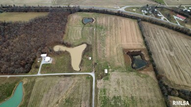 0000 N Puckett Ln, Mount Vernon, IL 62864 - photo 6