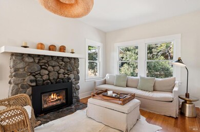 40 Laurel Ave, Stinson Beach, CA 94970 - photo 4