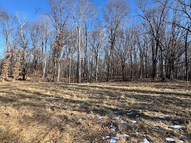 14775 Stutz St NE, Ham Lake, MN 55304 - photo 7