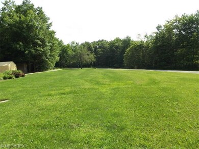 Front yard w/ side driveway up to house on left.