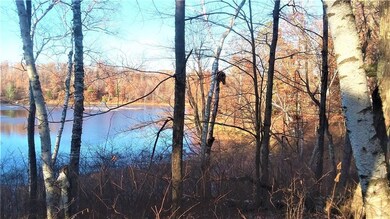 X Pot o Gold Rd, Oakland, WI 54830 - photo 2