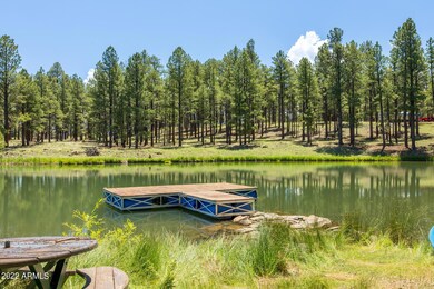Pond View