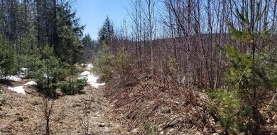 Land/Lot