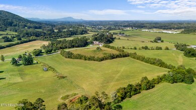 1 Thomas Cross Rd, Sevierville, TN 37876 - photo 6