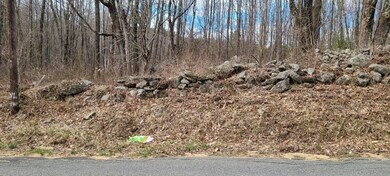 0 Prouty Rd unit 72812046, Hardwick, MA 01031 - photo 4