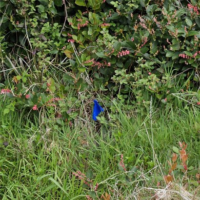 382 Cygnus Ave SW, Ocean Shores, WA 98569 - photo 3