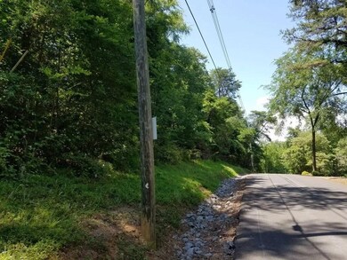 1919 Chelaque Way E, Mooresburg, TN 37811 - photo 4