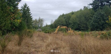 234 XX 197th St E, Orting, WA 98360 - photo 3