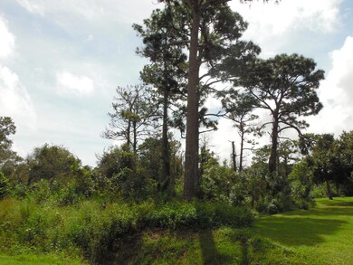 bay;filed lot (2)
