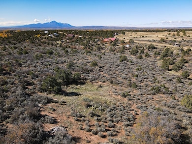 17467 Road 27 7, Dolores, CO 81323 - photo 7